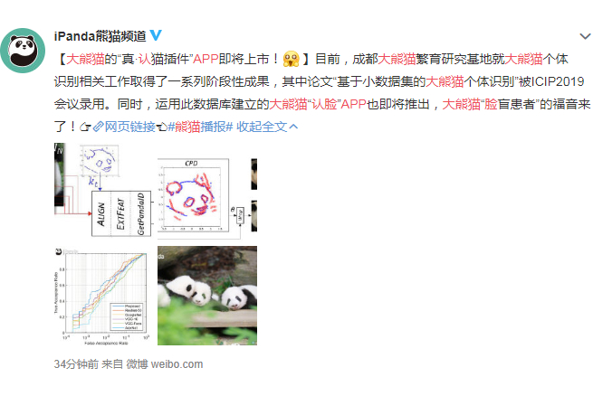 大熊猫认脸APP：大熊猫的“真·认猫插件”APP即将上市！