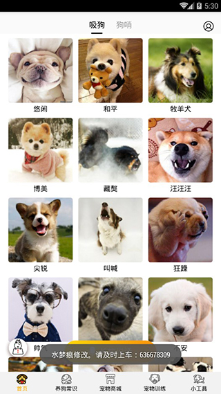 狗语翻译器app截图