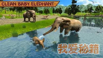 野生大象模拟器截图