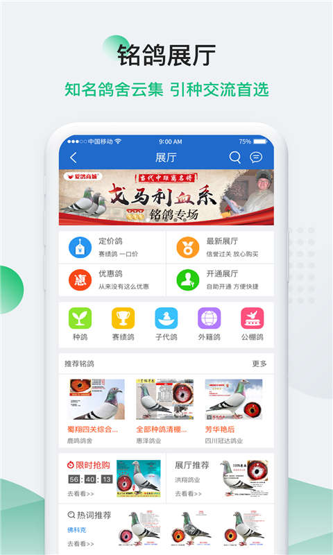 中国信鸽信息网手机版截图