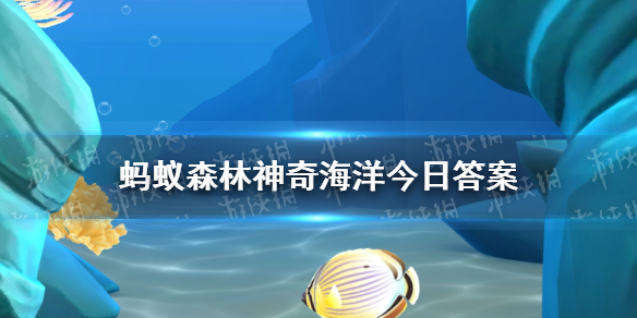 神奇海洋5月8日答案最新国家海洋博物馆又被称为“海上故宫