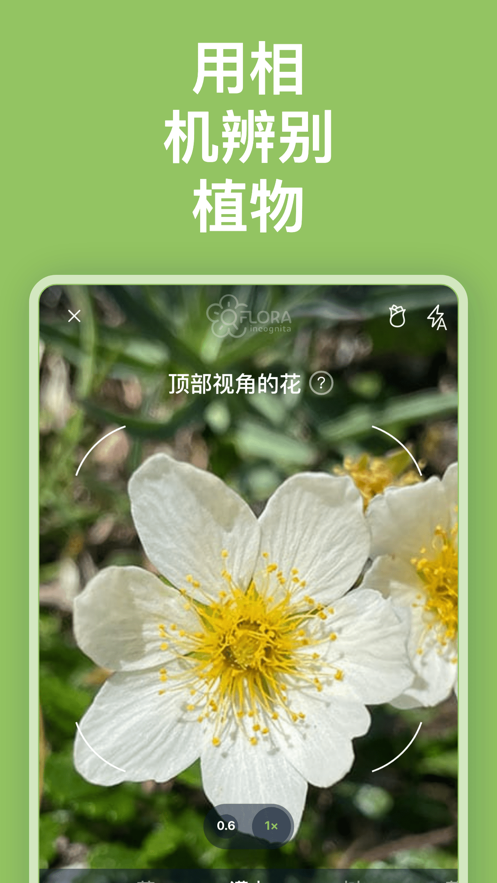 FloraIncognita植物识别软件官方版v3.5.20截图