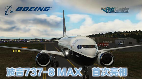 模拟飞行787手游中文版