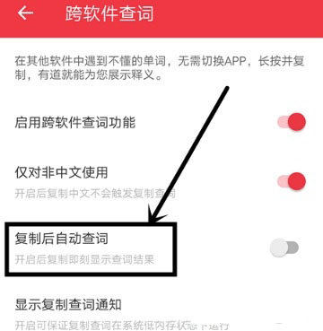 网易有道词典怎么开启复制后自动查词_自动查词步骤流程解析