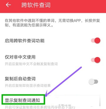 网易有道词典怎么开启复制后自动查词_自动查词步骤流程解析