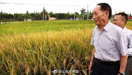 袁隆平超级杂交稻平均亩产1004.83公斤详情介绍